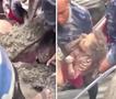 Седумгодишно девојче преживеа четири дена затрупана во калта на Непал (ВИДЕО)