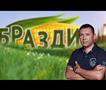 БРАЗДИ - 27.09.2026 - BRAZDI - Ориз