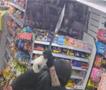 Се заканува со мачета во продавница, по борбата со продавачот, избега со шише вотка (ВИДЕО)