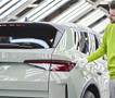 Не е само „Volkswagen“: И моделите на овој бренд исто така може да имаат сериозен технички проблем