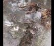 Се урна воен авион со 32 патника во Нигерија- пронајдени се делови на тела (ВИДЕО)