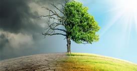 ОН предупредуваат: Климатската криза се продлабочува поради растечки енергетски дисбаланс