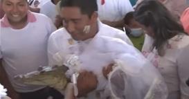 Мексикански градоначалник се ожени со алигатор, неколку пати ја бакна „невестата“ (ВИДЕО)