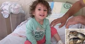 Двегодишно девојче од Турција гризнало змија, животното ѝ вратило (ВИДЕО)