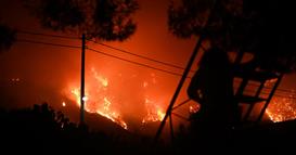Студија: Екстремните шумски пожари двојно се зголемија во текот на изминатите две децении