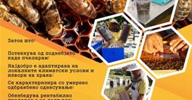 Младите и пчеларството во фокусот на одбележувањето на Светскиот ден на пчелата