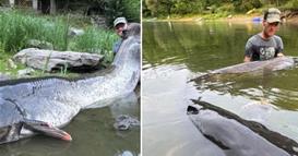 Фото: Чешки рибар улови сом„чудовиште“ од скоро три метри