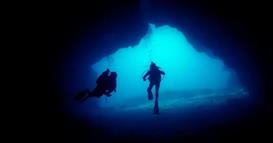 Научниците снимиле морничава сцена на длабочина од 3.200 метри, воздивнуваат од шок (ВИДЕО)