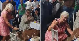 Немал пари за бакшиш на српска пејачка, па ѝ подарил живо теле (ВИДЕО)