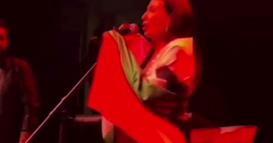 Српската пејачка Цеца исвиркана од публиката во Велес откако на концерт го подигна бугарското знаме