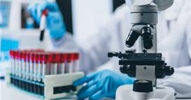 Шпанските научници идентификуваа неврони во амигдалата кои предизвикуваат анксиозност