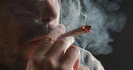 Комбинирањето на тутун со канабис предизвикува уникатни промени во мозокот