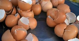 Како лушпите од јајца можат да го подобрат вашиот дом и да заштедат пари