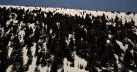 Искусни планинари први на 1-ви го освоија врвот Пелистер