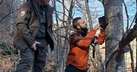 НП Шар Планина го засилува мониторингот на балканскиот рис