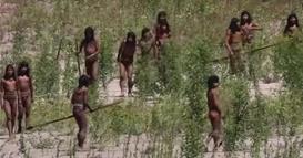 Први снимки од изолирано племе во Амазонија- ги подигнаа копјата и стрелите кога видоа камера (ВИДЕО)