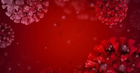 Смртоносен вирус Нипа предизвика меѓународна загриженост: Откриен во Индија – дали е ова нов ковид?!