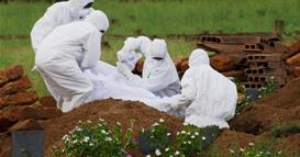 Низок ризик од ширење на вирусот нипах надвор од Индија, велат од СЗО