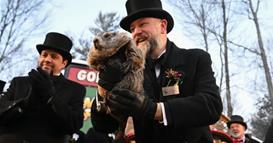 Што претскажа мрмотот Фил, кога ќе заврши зимата? (ВИДЕО)