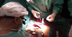 Во Битола се одржа трибина за подигнување на свесноста за важноста на органодарителството 