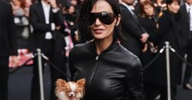 Фото: Деми Мур во шокатно издание: Драстичната промена ги запали мрежите - цела во кожа