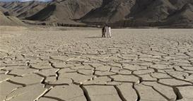 Научници: Топлинските бранови предизвикуваат опасни „ненадејни суши“