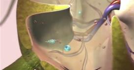 Светски ден за борба против туберкулоза – дијагнозата останува клучен фактор