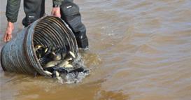 Меморандум за соработка во пресрет на Светското првенство во риболов на крап во Маврово