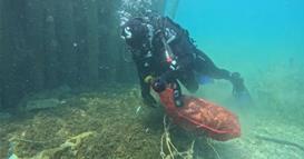 „Нов живот за езерото“ - еко акција за чистење на дното на Охридското Езеро во Радожда 