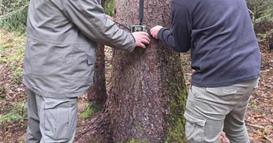 ЈУНП „Пелистер“ постави 40 мониторинг камери во националниот парк „Пелистер“