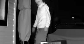 Поставила камера во дворот поради ракуни- се преплашила кога видела што се појавило (ВИДЕО)