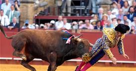 Тешко повреден Моранте де ла Пуебла за време на борбата со бикови во Севиља