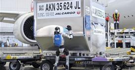 Хуманоидни роботи почнуваат со работа на познатиот аеродром во Токио, имаат посебна задача (ВИДЕО)