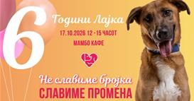 „6 години Лајка – Не славиме бројка, славиме промена"
