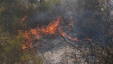 Србија: За 24 часа активни биле 165 пожари, во Крагуевац прогласена вонредна состојба