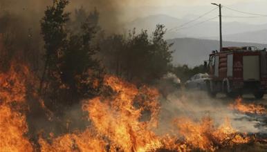 Шумски пожари беснеат во Албанија