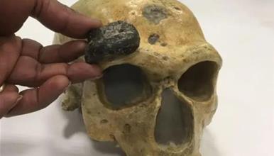 Реконструирано лице на Хомо-еректус од пред 1,5 милиони години, научниците делумно изненадени