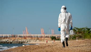 Морето исфрли огромно суштество со страшна глава, долго над 4 метри (ФОТО)