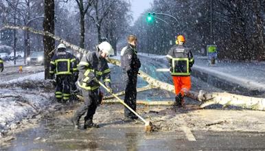 Студеното време и поледиците предизвикаа сообраќаен хаос на германските патишта
