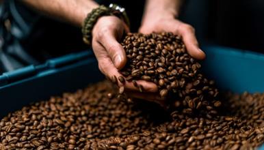 Германија ги надмина САД, Бразил бележи рекордна заработувачка- пресврт на пазарот на кафе 