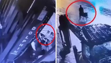 Турчин со виљушкар упаднал во златарница, ја ограбил и избегал- на магаре (ВИДЕО)