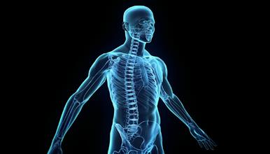 Научници дојдоа до неверојатни откритија: Човечкото тело како биолошки извор на светлина