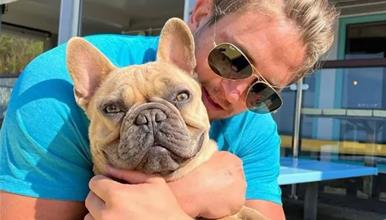 Столар дал отказ на работа, откако неговиот булдог почнал да заработува повеќе од него (ВИДЕО)