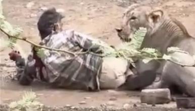 Лавица го нападна и половина час го држи во канџите- сите посматраат, додека човекот не направи нешто неочекувано (ВИДЕО)