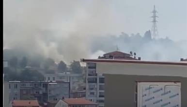 Голем пожар во парк шумата Гази Баба (ВИДЕО)