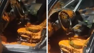 Ова никој не би посакал да му се случи- снимка од автомобил во Унгарија ги запали мрежите (ВИДЕО)