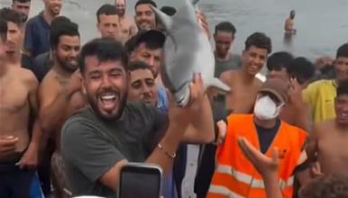 Мигранти убија бебе делфин па позираат со него и сакаат да го јадат- светот згрозен (Вознемирувачко видео) 
