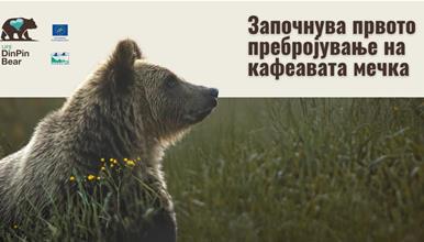 Колку мечки има во Македонија?