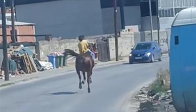 Скопје или див запад? (ВИДЕО)