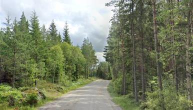 Пукање во близина на границата меѓу Норвешка и Шведска: Убиени татко и син